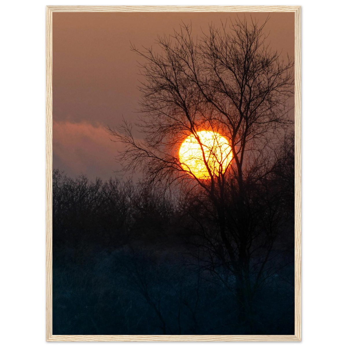 Yellow Crown – sunset behind trees nature photography photo print in a wooden frame
