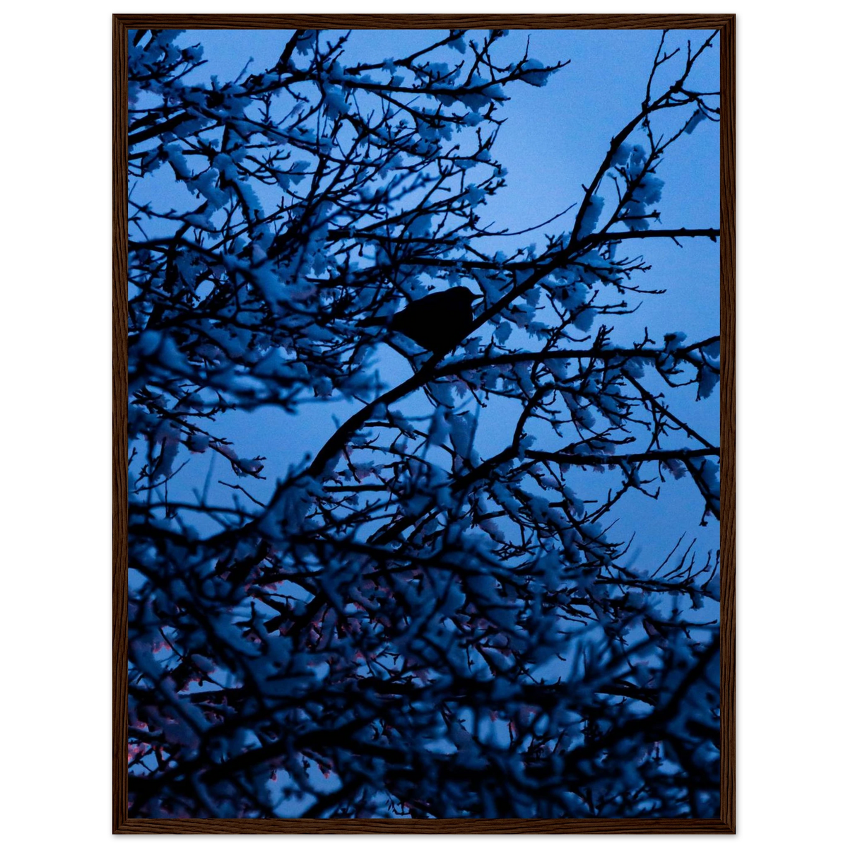 Blue Bird – kék madár faágon fakeretes fotónyomat