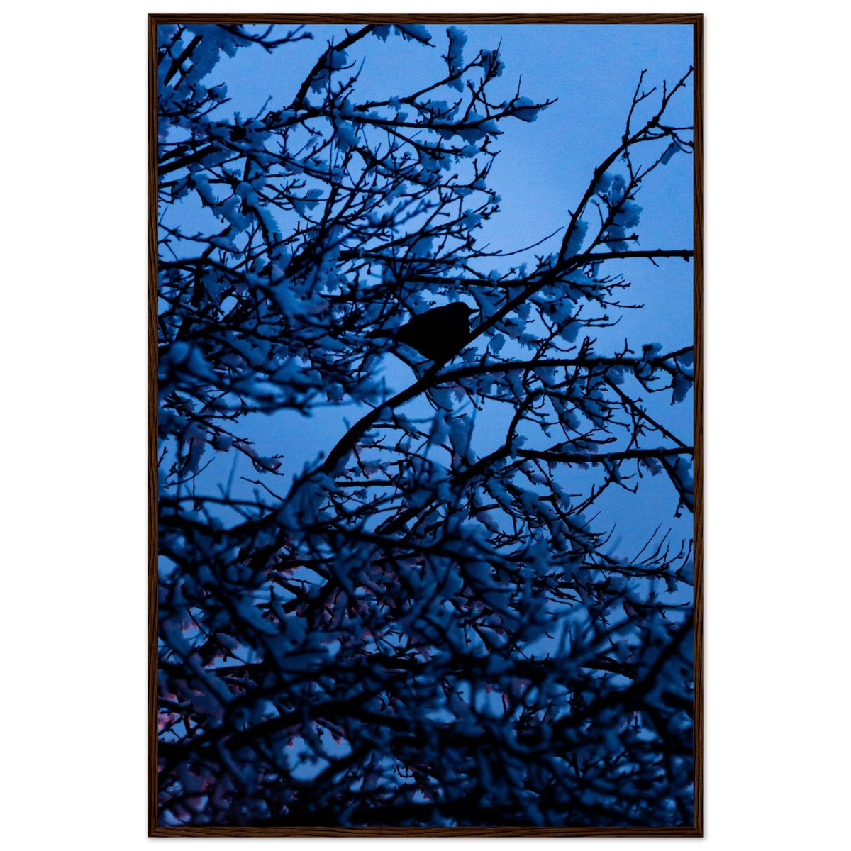 Blue Bird – kék madár faágon fakeretes fotónyomat