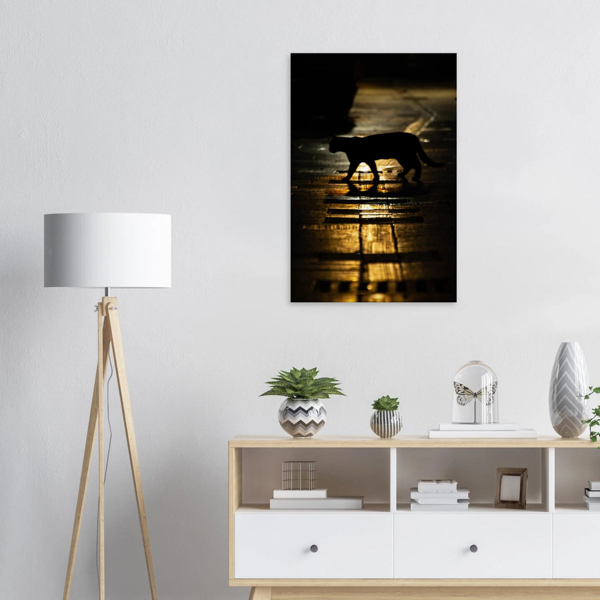 The Mysterious Cat – cat on a night street photography canvas print