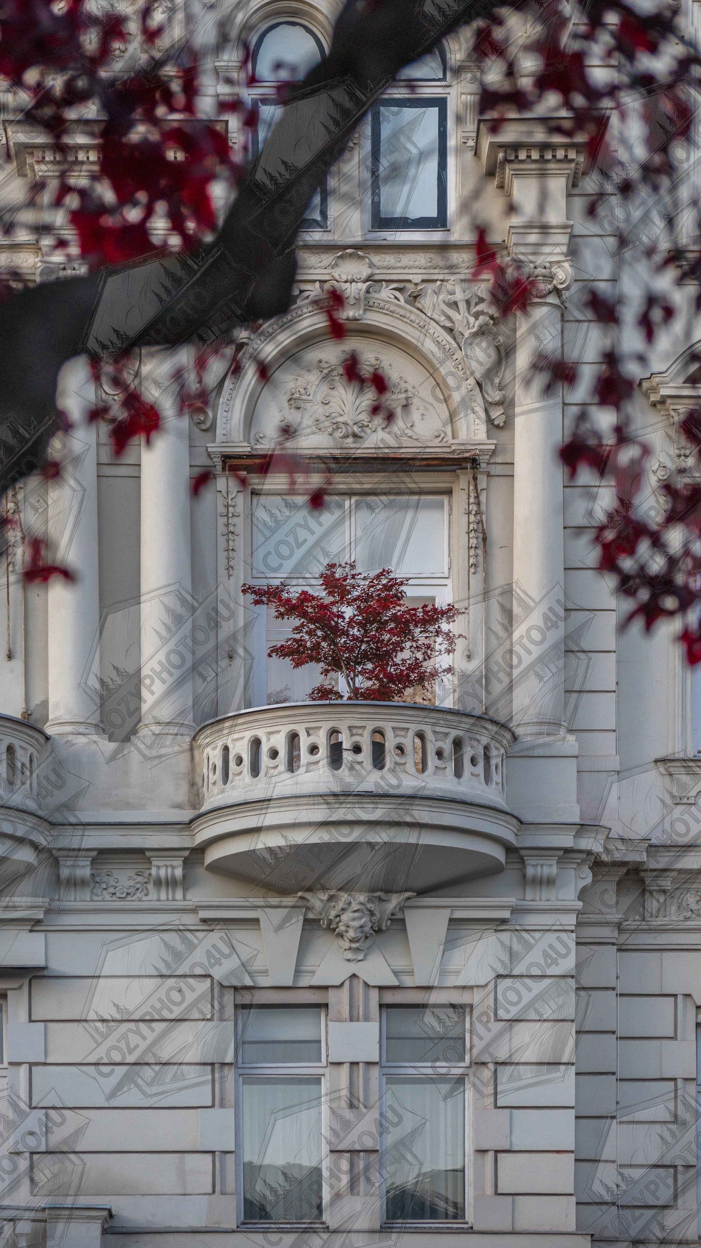 Digital picture art Red leaved tree in autumn colors in front of a historic stone building facade