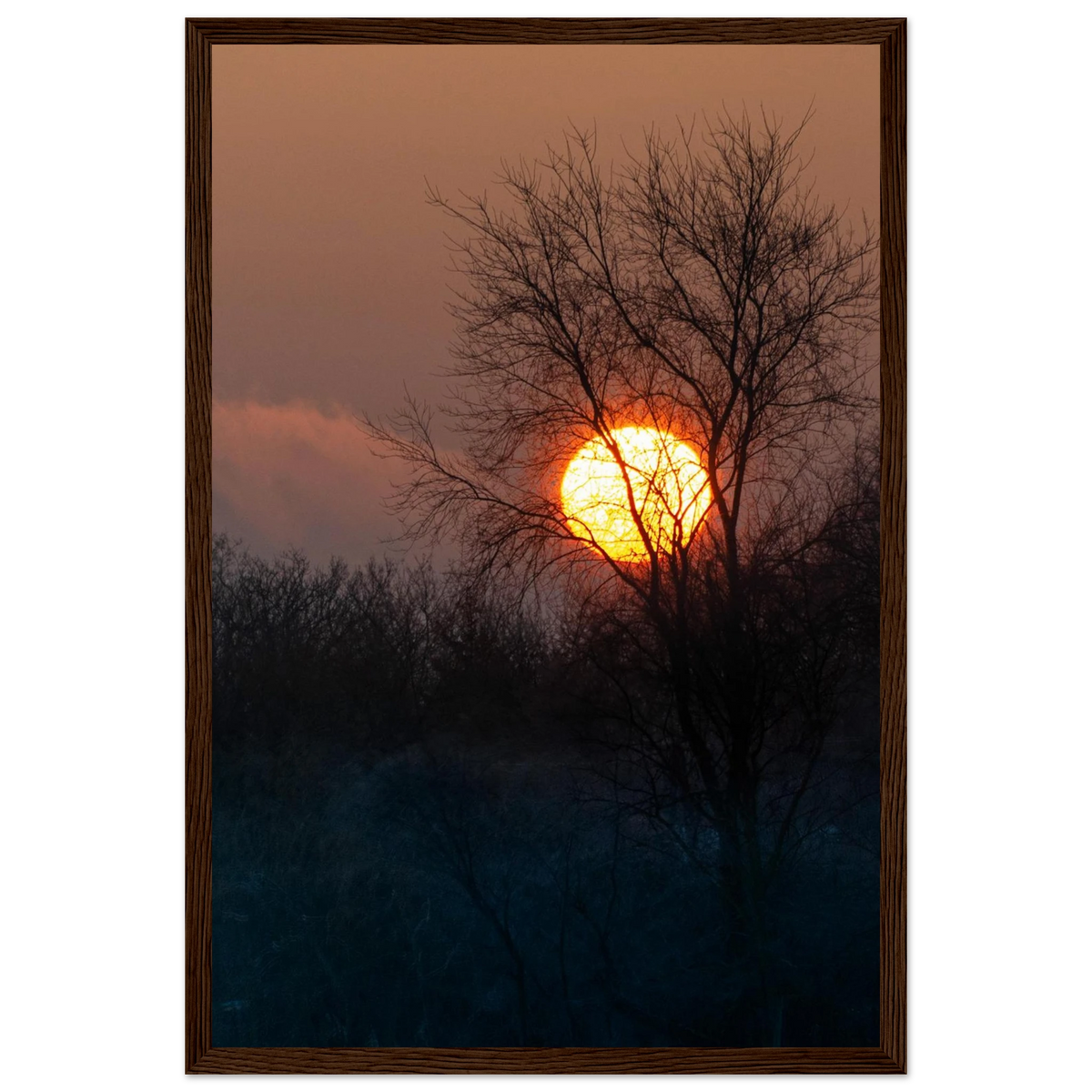 Yellow Crown – sunset behind trees nature photography photo print in a wooden frame