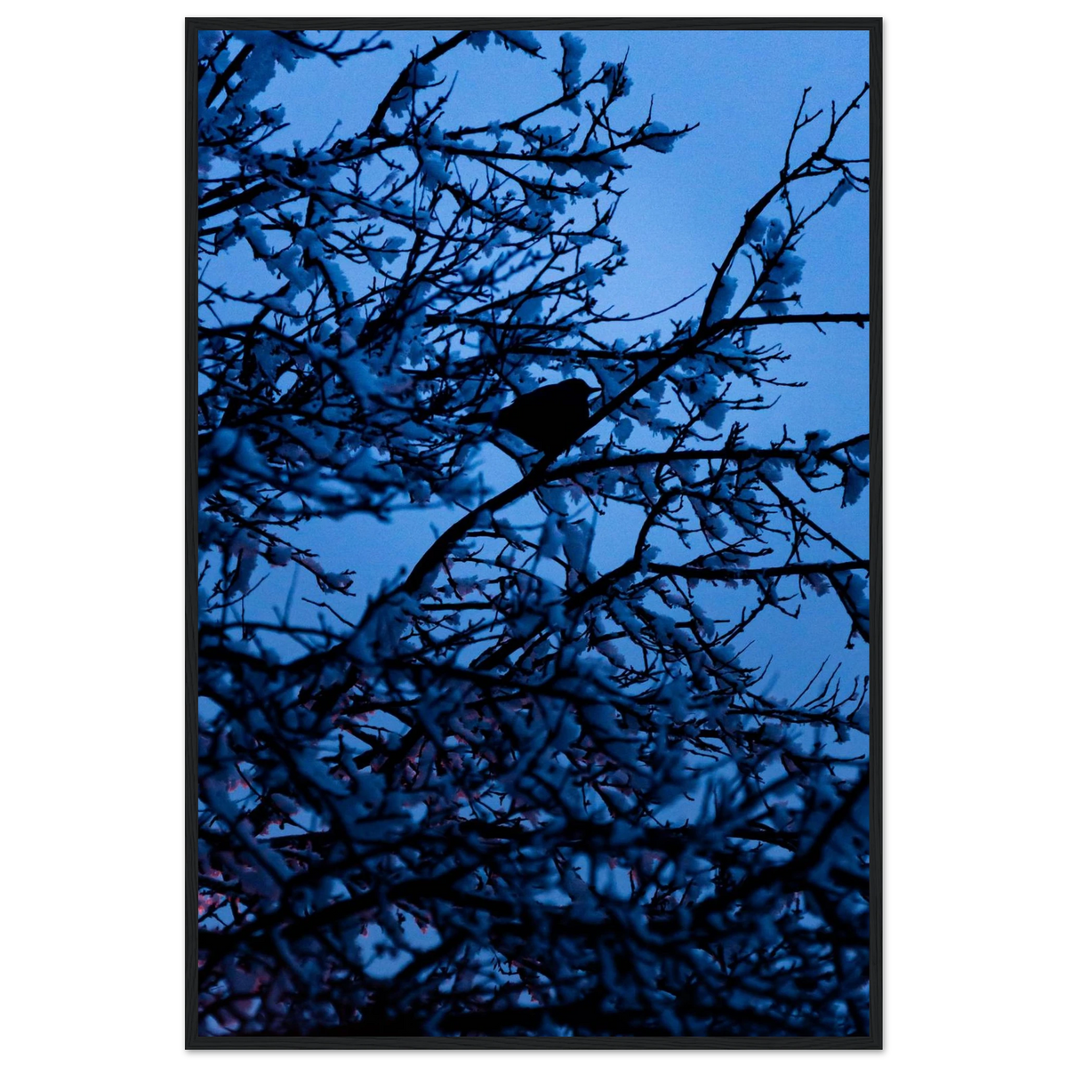 Blue Bird – kék madár faágon fakeretes fotónyomat