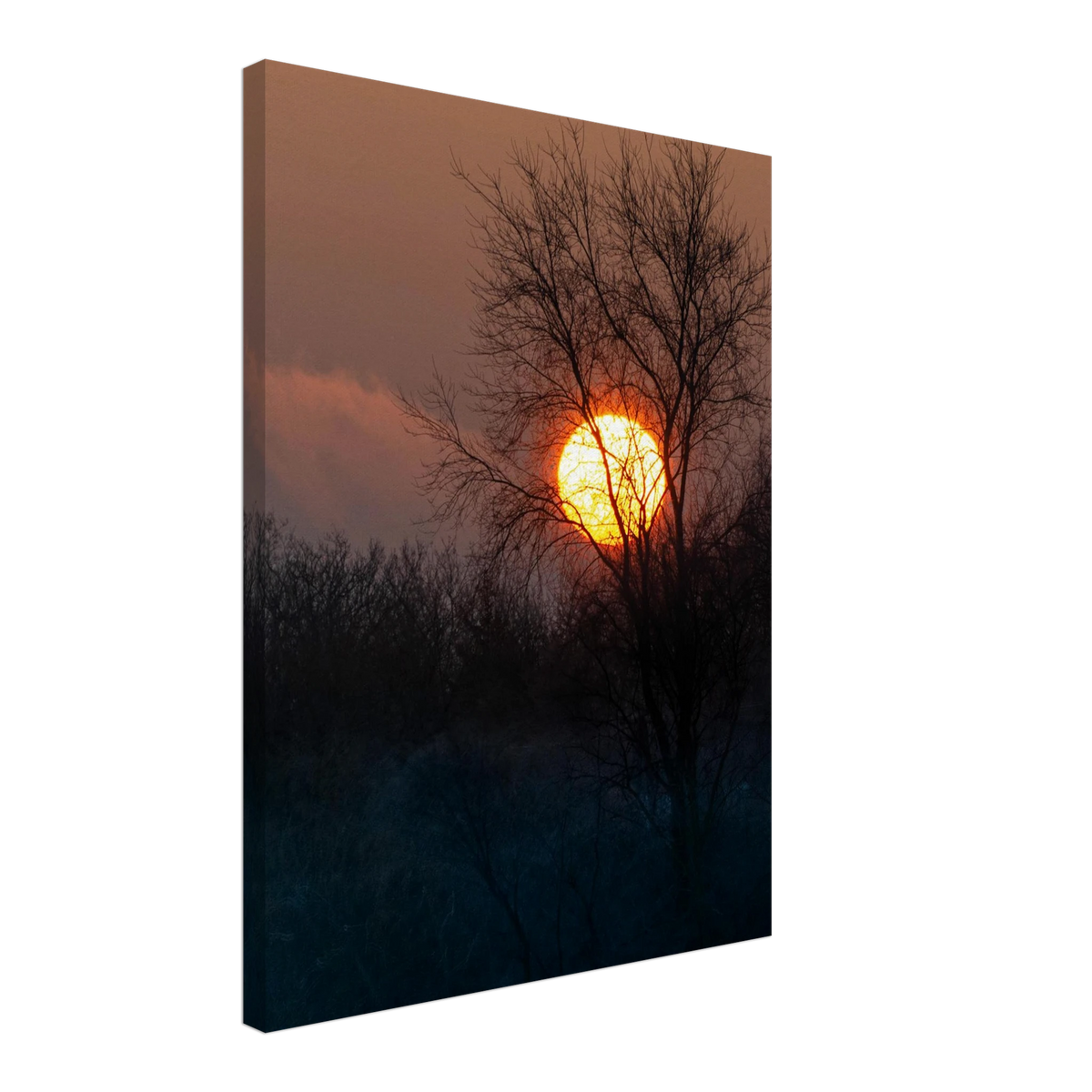 Yellow Crown – sunset behind trees nature photography canvas print