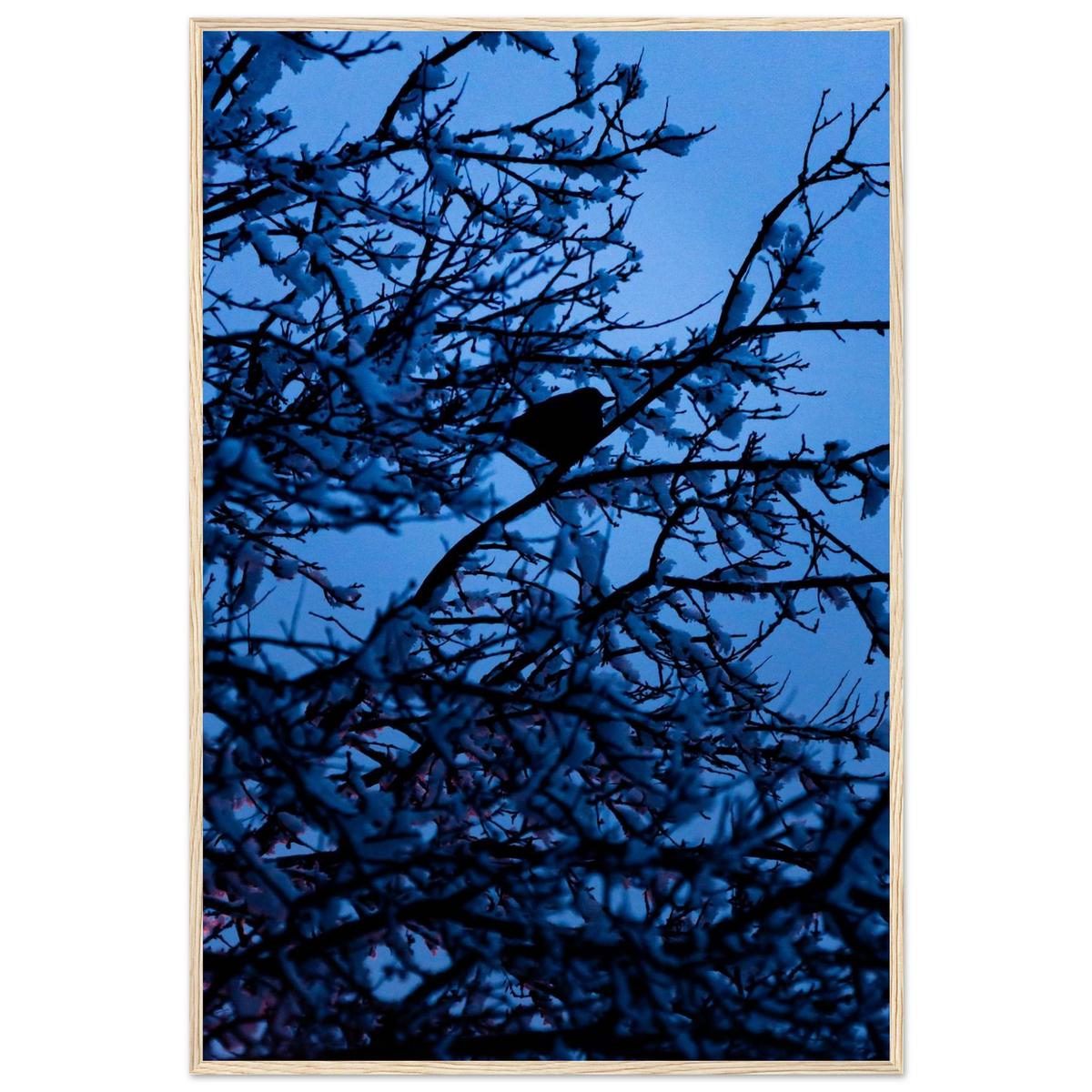 Blue Bird – kék madár faágon fakeretes fotónyomat