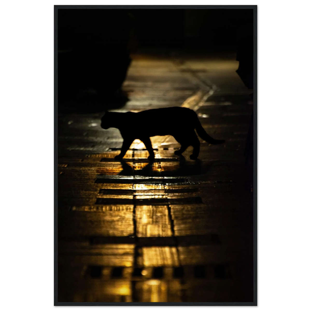 The Mysterious Cat – cat on a night street photography photo print in a wooden frame