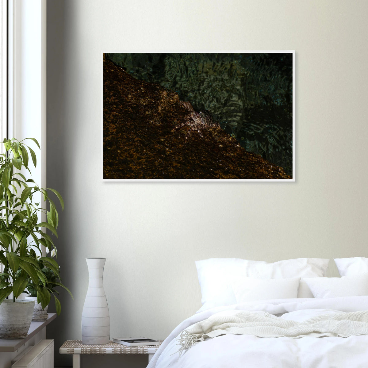 The Crab – crab on the seashore nature photography photo print in a wooden frame