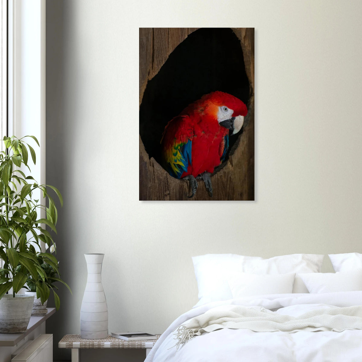 Parrot colorful parrot wildlife photography wall art in a bedroom