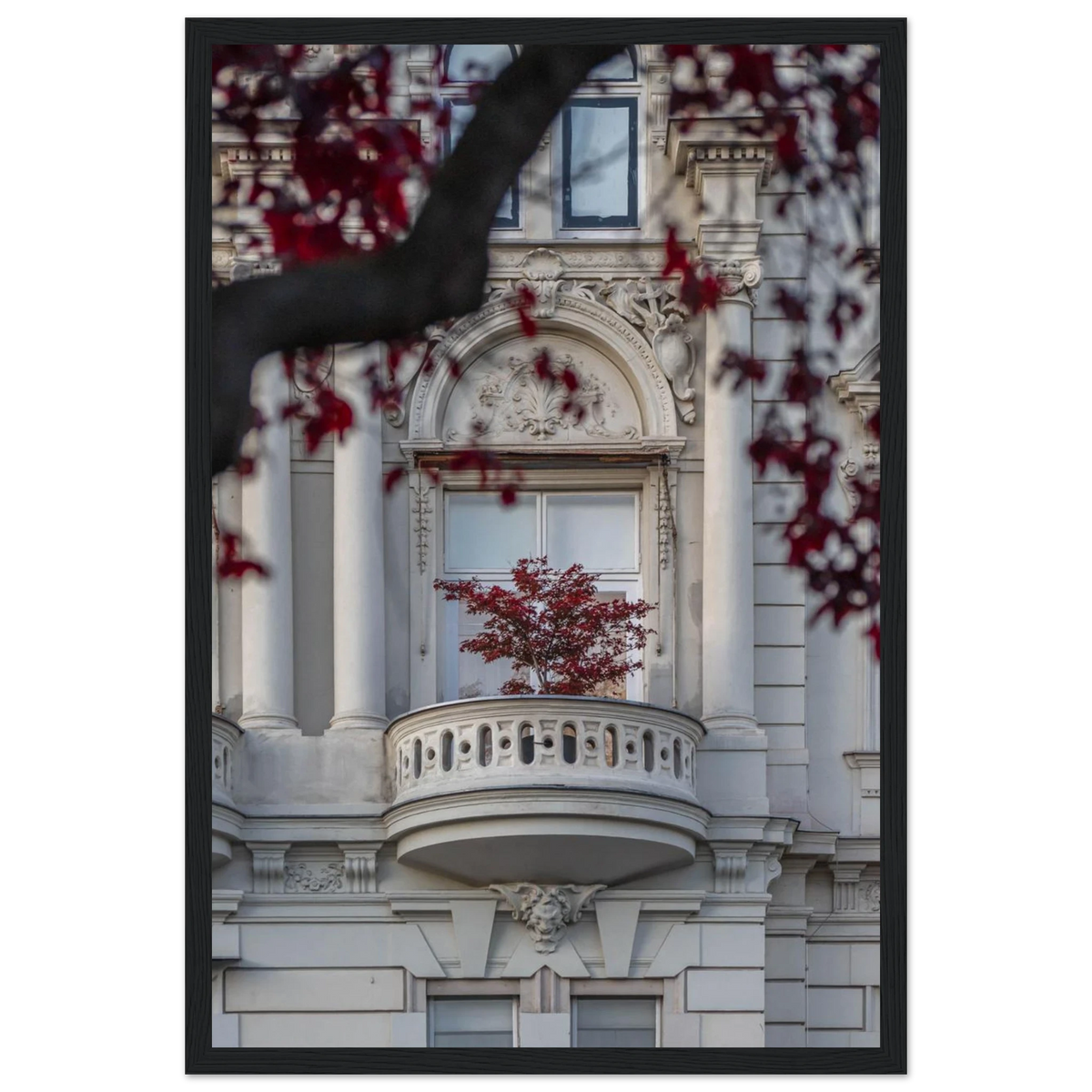 Red Haven – red autumn tree photography photo print in a wooden frame