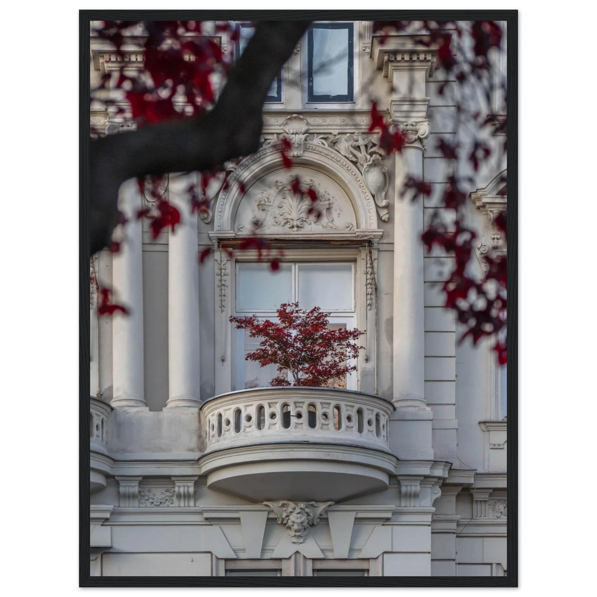 Red Haven – red autumn tree photography photo print in a wooden frame