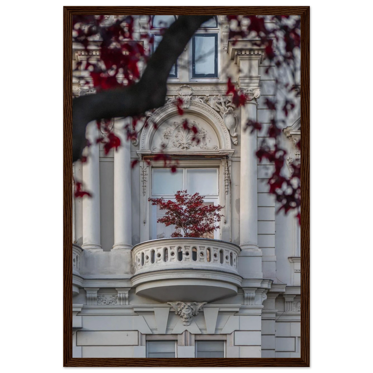 Red Haven – red autumn tree photography photo print in a wooden frame