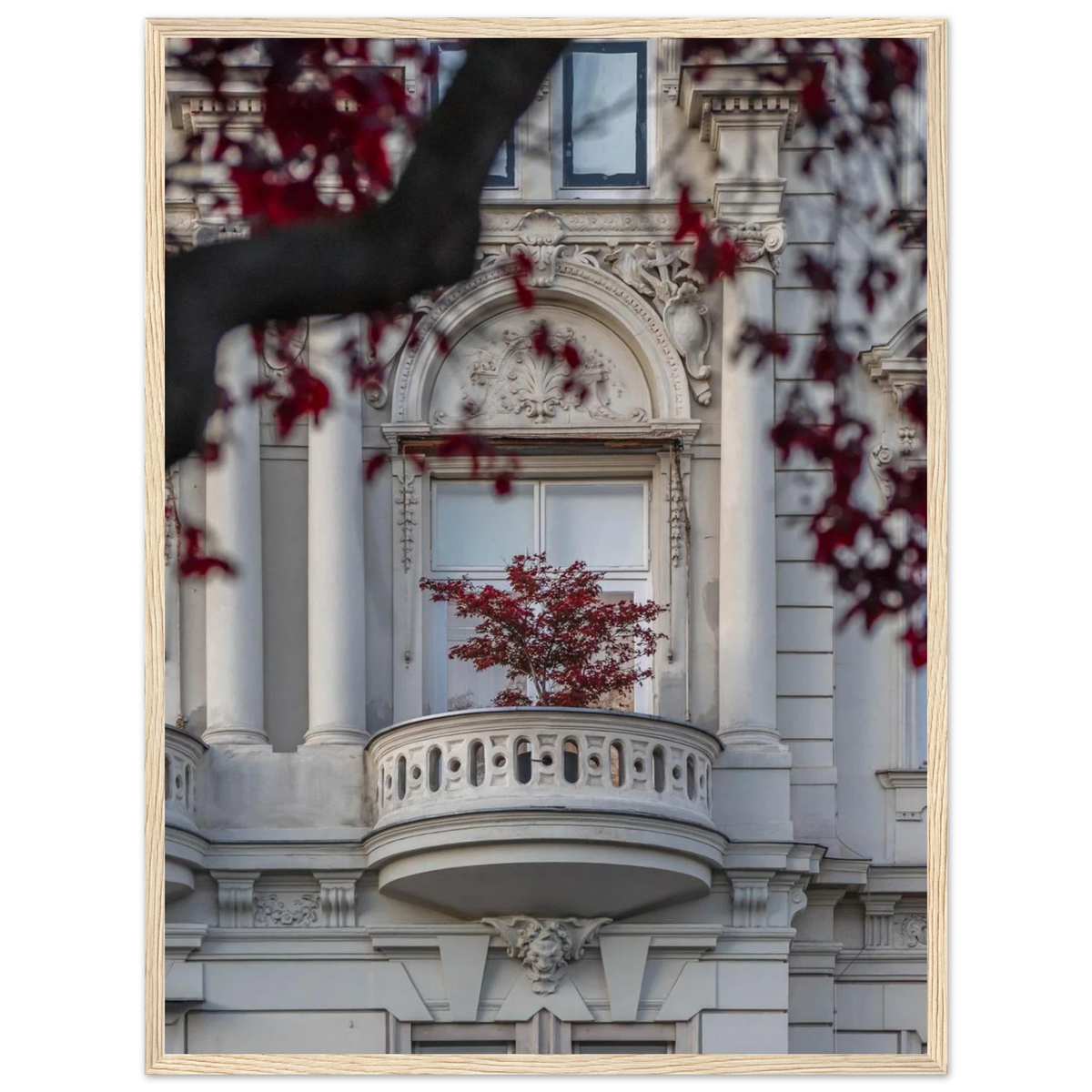 Red Haven – red autumn tree photography photo print in a wooden frame
