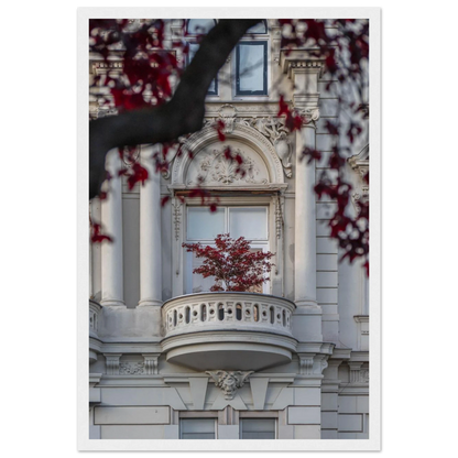 Red leaved tree in autumn colors in front of a historic stone building facade on wooden framed wall art