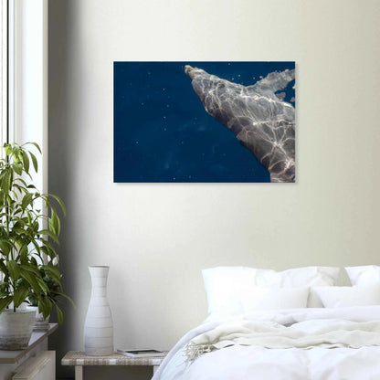 Canvas print wall art featuring a close-up of a Dolphin swimming under the surface of crystal clear blue sea water on the wall in the Bedroom