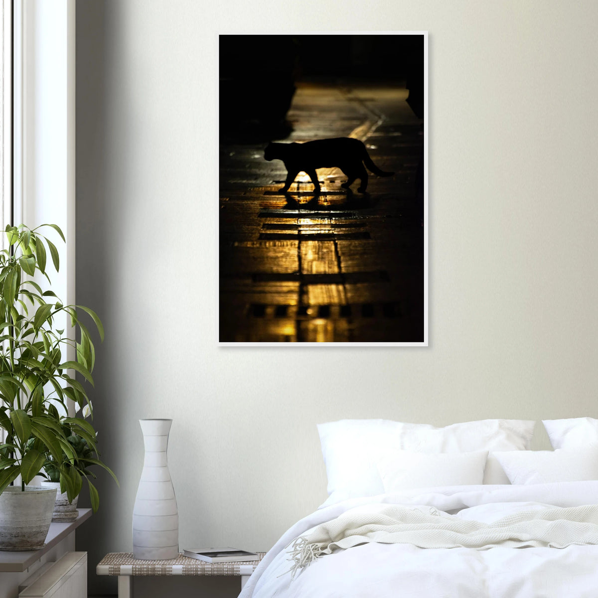 The Mysterious Cat – cat on a night street photography photo print in a wooden frame
