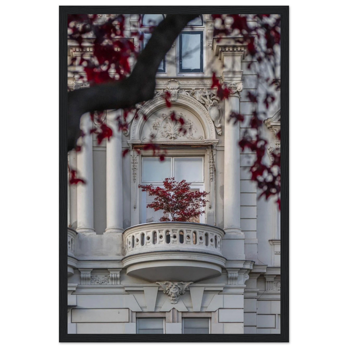 Red leaved tree in autumn colors in front of a historic stone building facade on wooden framed wall art