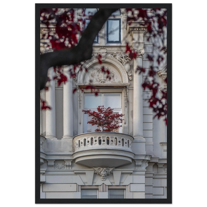Red leaved tree in autumn colors in front of a historic stone building facade on wooden framed wall art