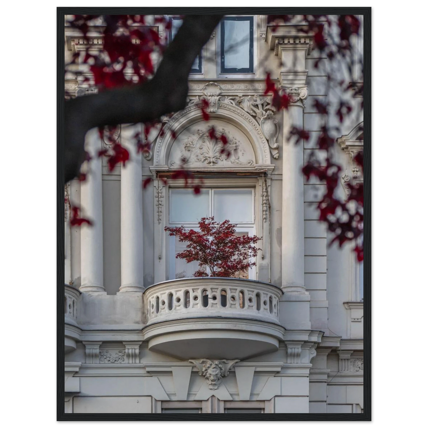 Red leaved tree in autumn colors in front of a historic stone building facade on wooden framed wall art