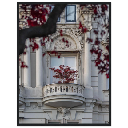 Red leaved tree in autumn colors in front of a historic stone building facade on wooden framed wall art