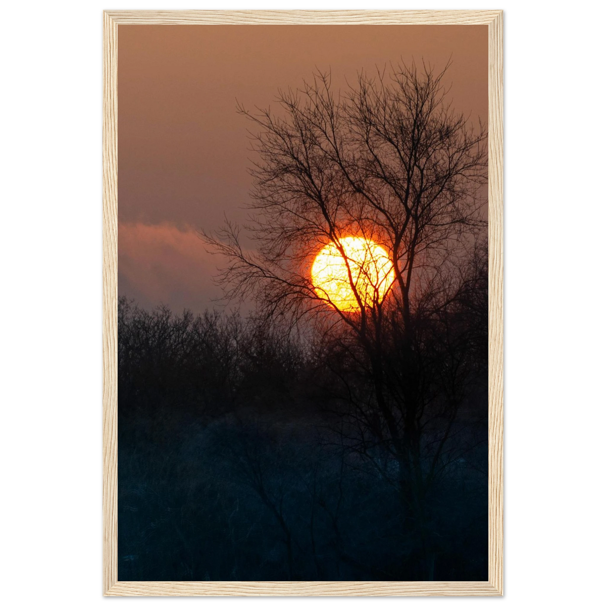 Yellow Crown – sunset behind trees nature photography photo print in a wooden frame