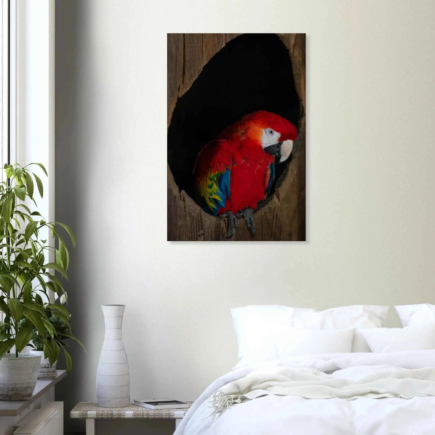 Canvas Print wall art featuring a close-up of a red, blue, and yellow Parrot in a dark wooden nest hole on the wall in the Bedroom