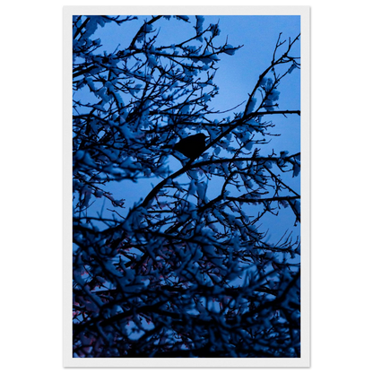 Blue Bird – kék madár faágon fakeretes fotónyomat
