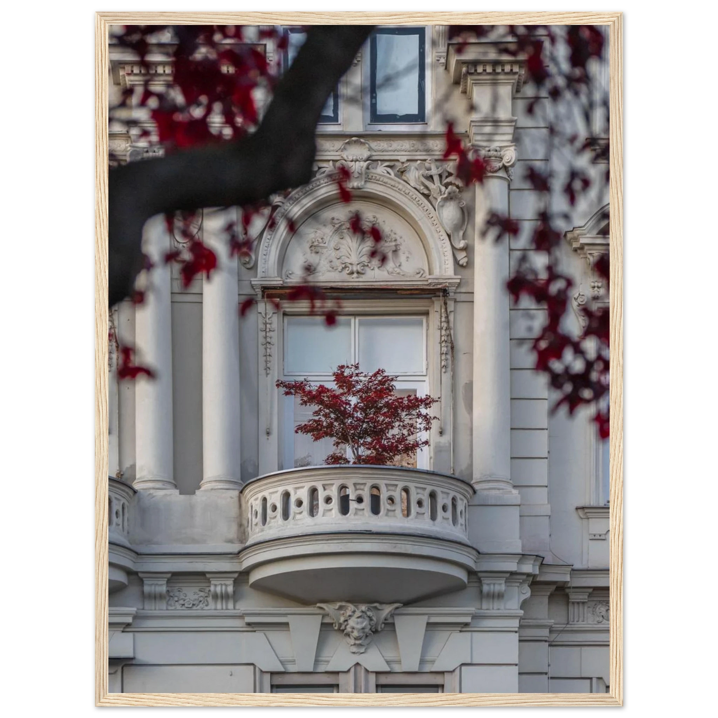 Red leaved tree in autumn colors in front of a historic stone building facade on wooden framed wall art