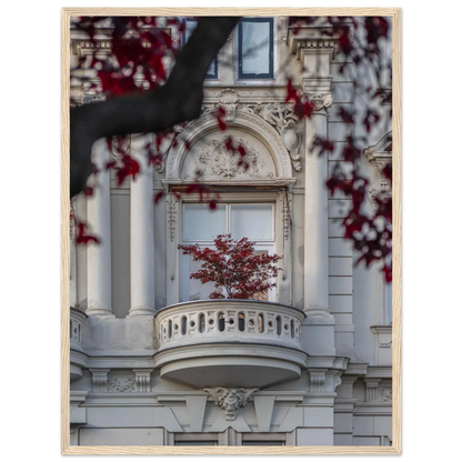 Red leaved tree in autumn colors in front of a historic stone building facade on wooden framed wall art