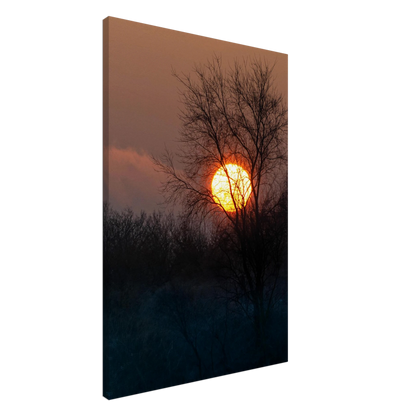 Yellow Crown – sunset behind trees nature photography canvas print