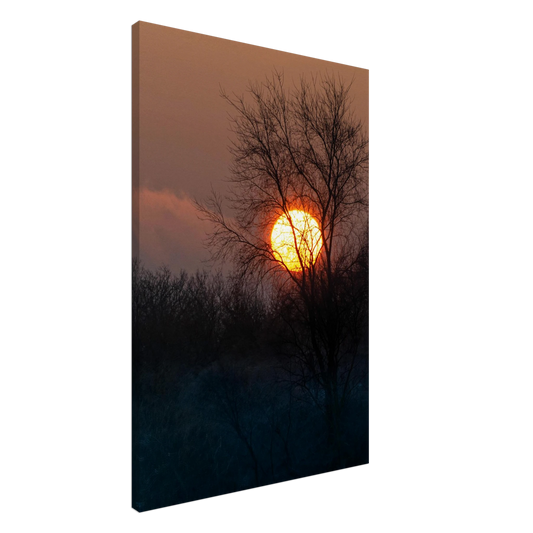 Yellow Crown – sunset behind trees nature photography canvas print