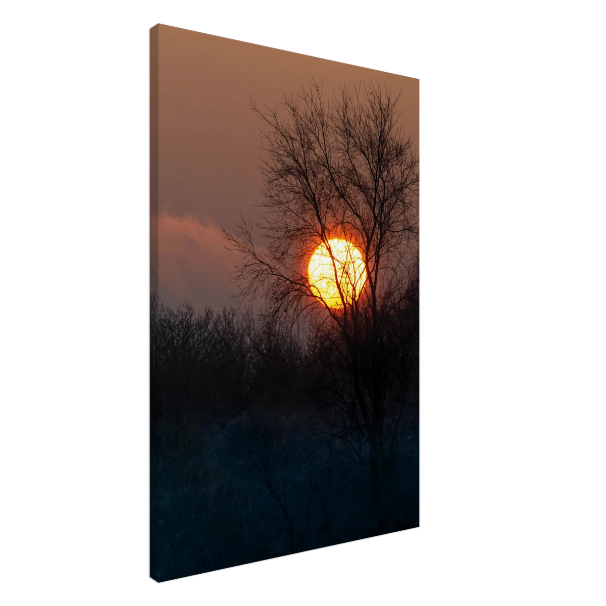 Yellow Crown – sunset behind trees nature photography canvas print