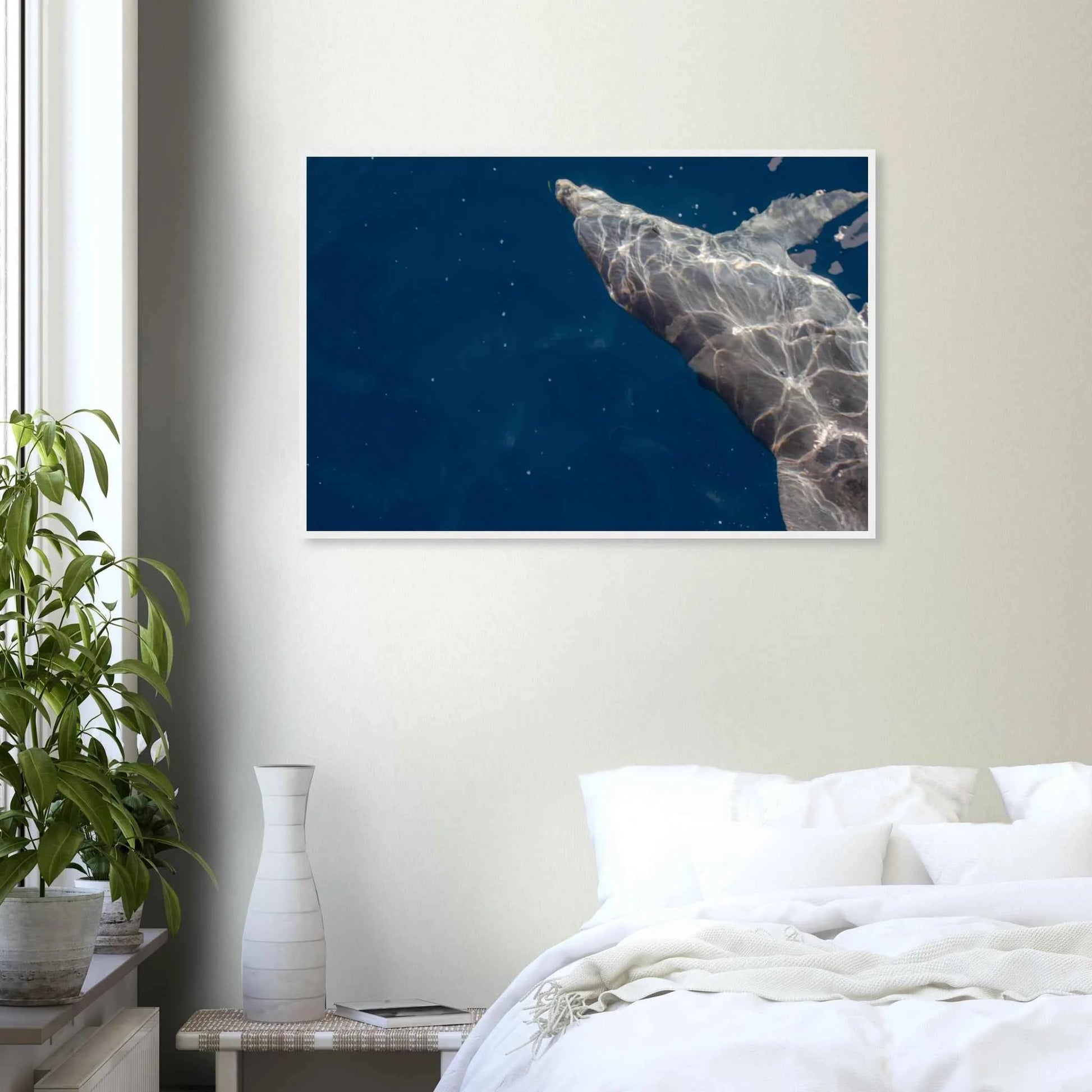 Wooden framed wall art featuring a close-up of a Dolphin swimming under the surface of crystal clear blue sea water on the wall in the Bedroom