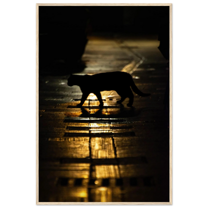 The Mysterious Cat – cat on a night street photography photo print in a wooden frame