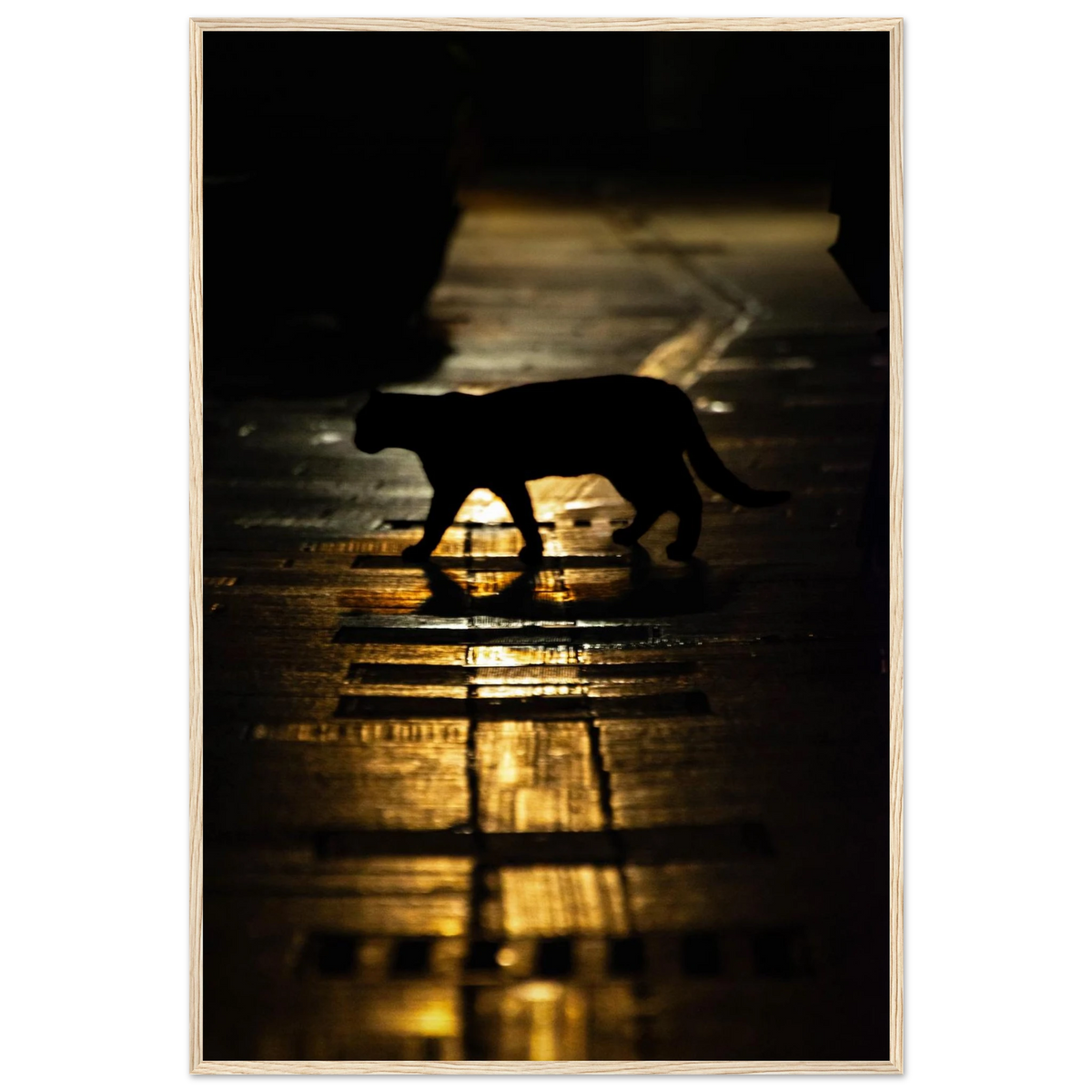 The Mysterious Cat – cat on a night street photography photo print in a wooden frame
