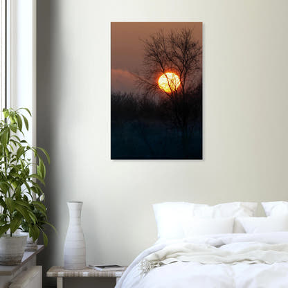 Yellow Crown – sunset behind trees nature photography canvas print