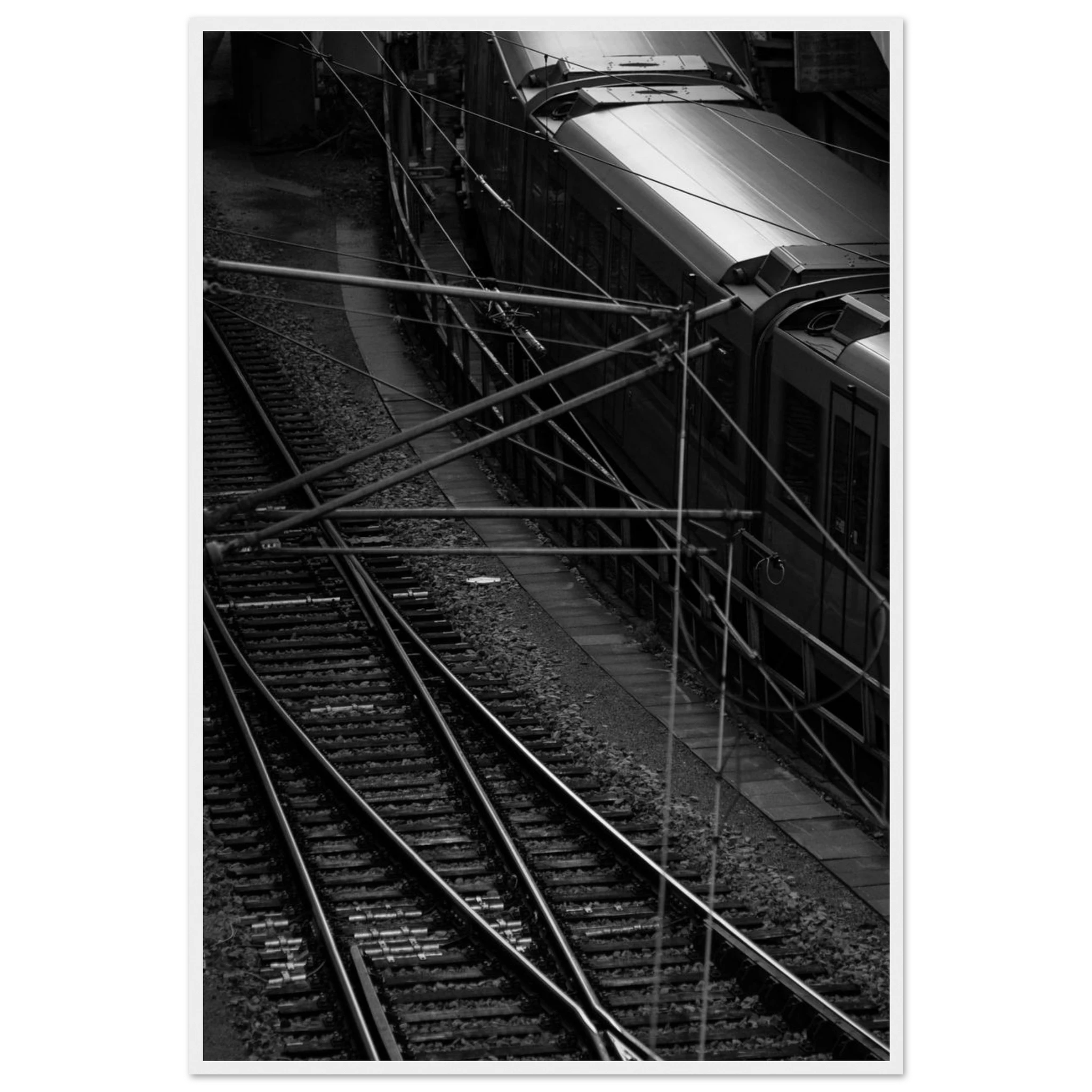 41e17c94-9550-485e-9656-ecd263eed087