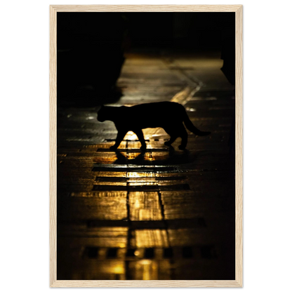 The Mysterious Cat – cat on a night street photography photo print in a wooden frame
