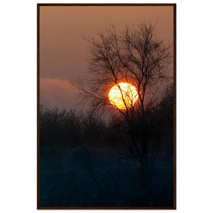 Yellow Crown – sunset behind trees nature photography photo print in a wooden frame