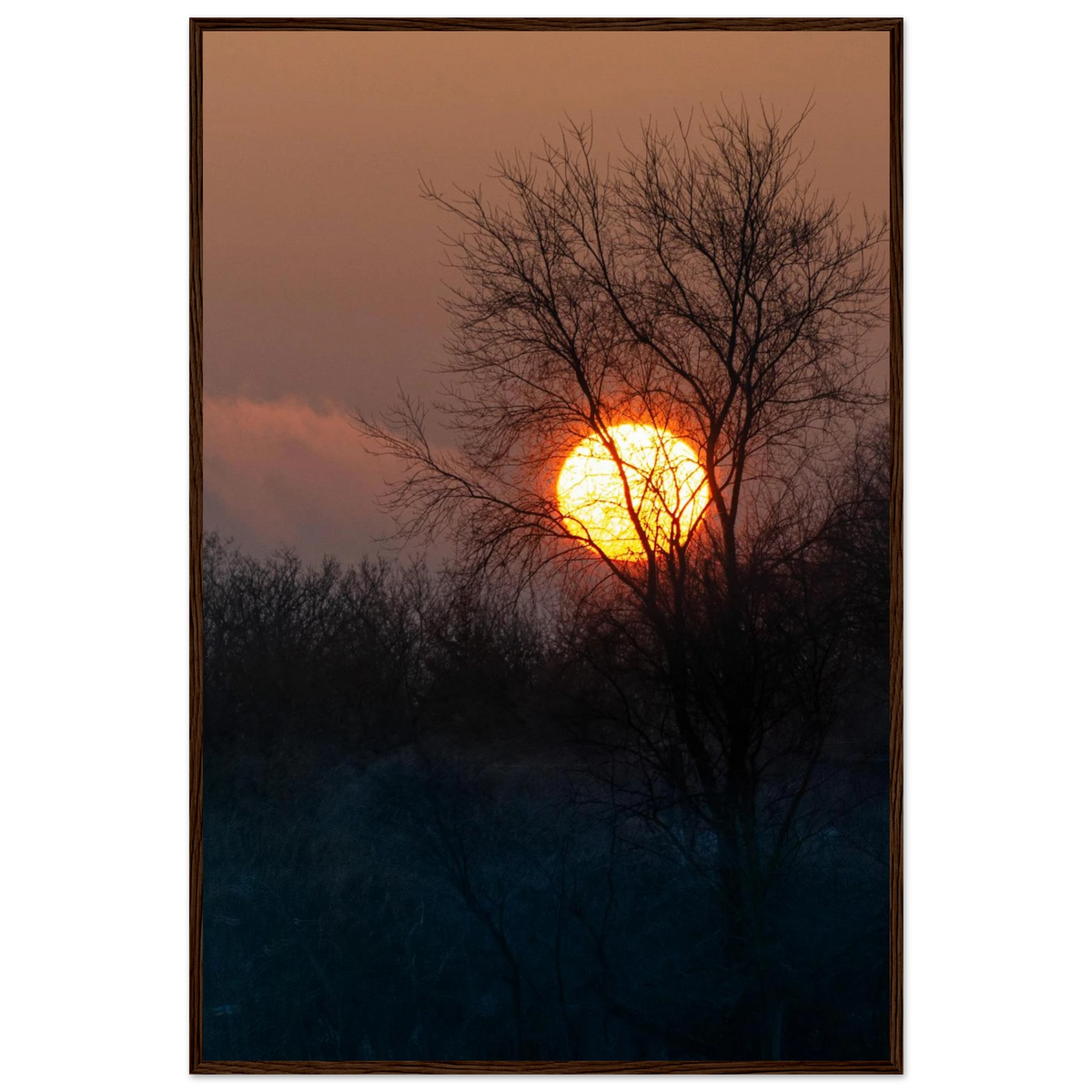 Yellow Crown – sunset behind trees nature photography photo print in a wooden frame