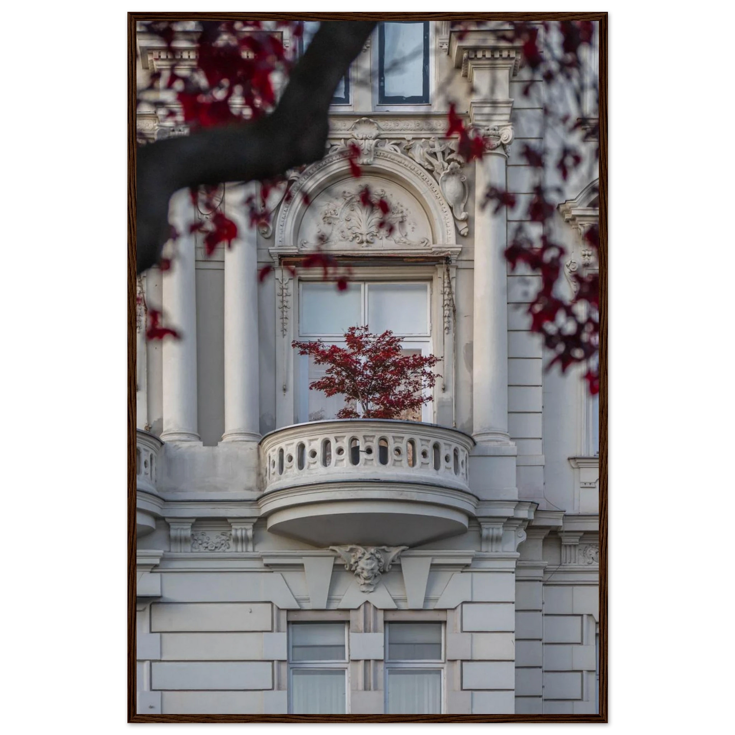 Red leaved tree in autumn colors in front of a historic stone building facade on wooden framed wall art