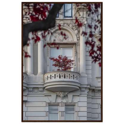 Red leaved tree in autumn colors in front of a historic stone building facade on wooden framed wall art