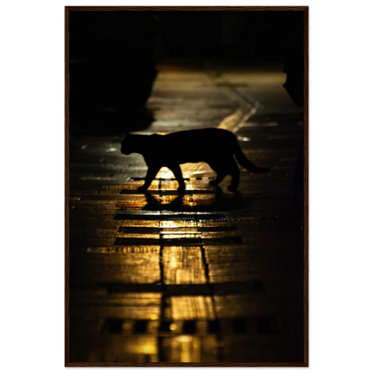 The Mysterious Cat – cat on a night street photography photo print in a wooden frame