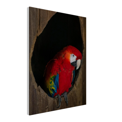Canvas Print wall art featuring a close-up of a red, blue, and yellow Parrot in a dark wooden nest hole