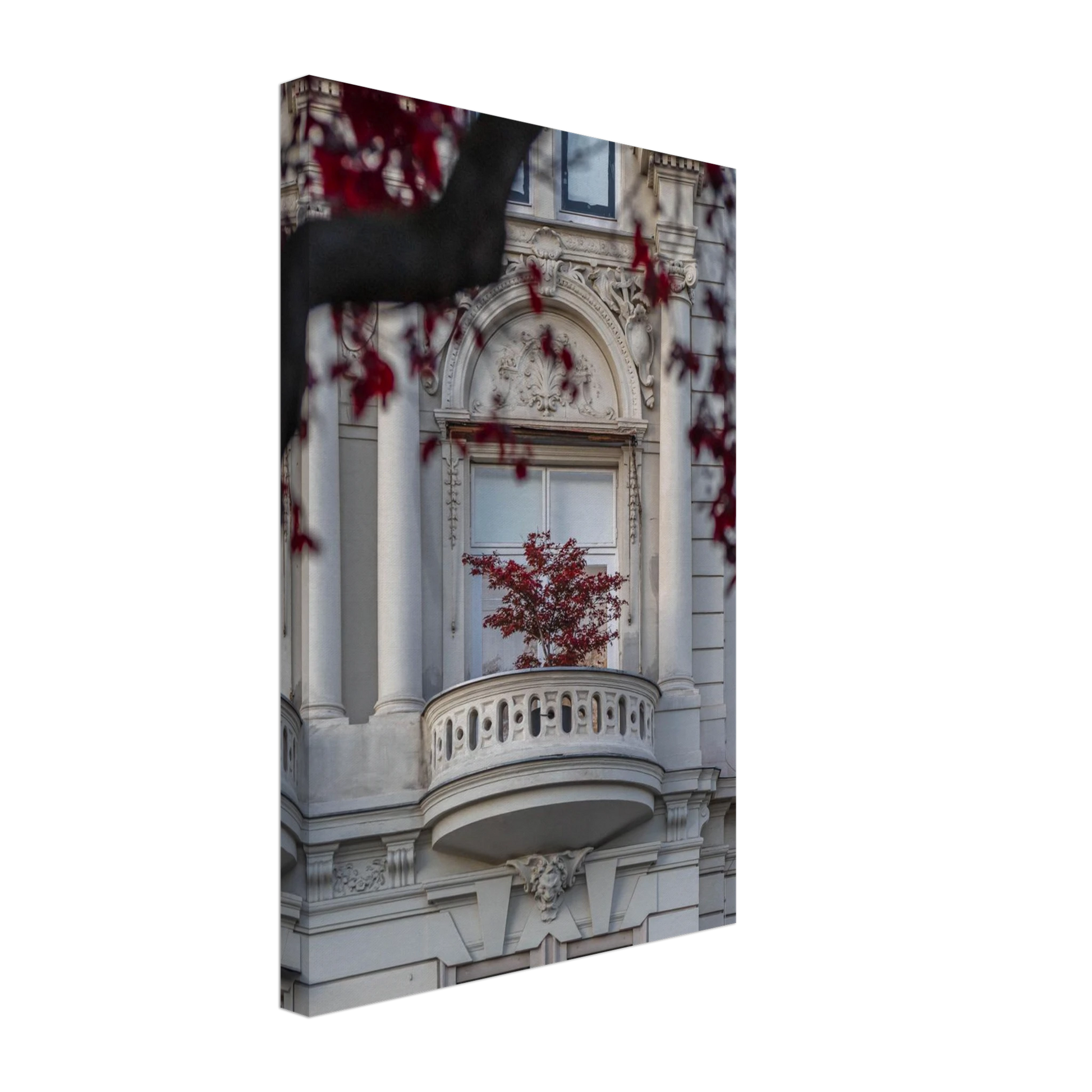 Red leaved tree in autumn colors in front of a historic stone building facade on Canvas Print wall art