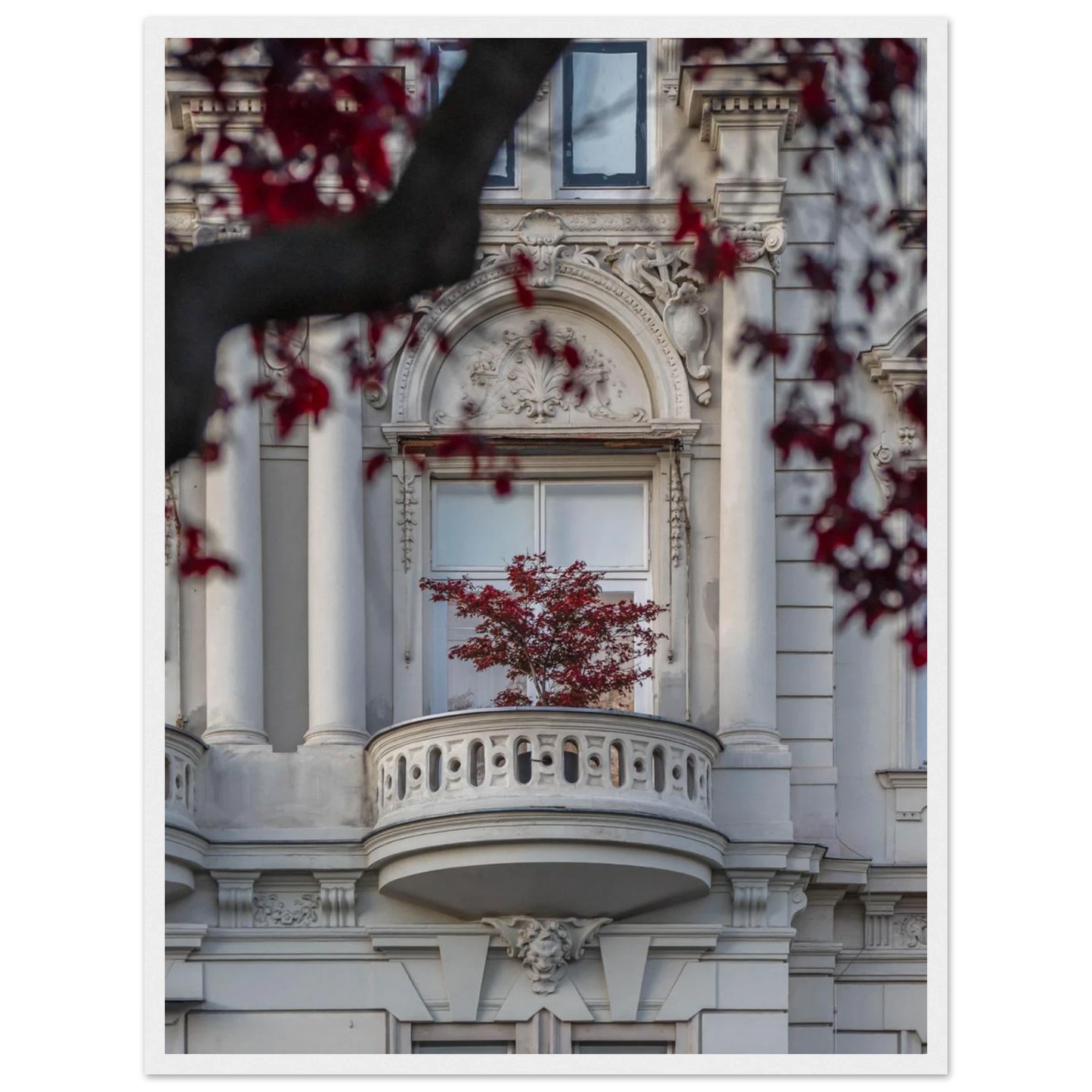Red leaved tree in autumn colors in front of a historic stone building facade on wooden framed wall art