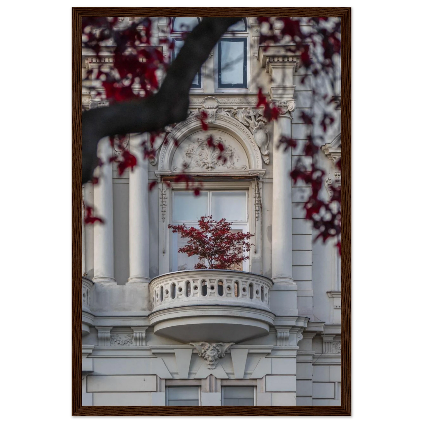 Red leaved tree in autumn colors in front of a historic stone building facade on wooden framed wall art