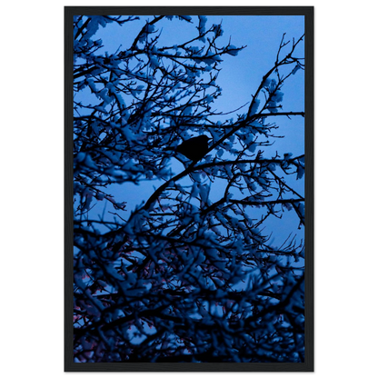 Blue Bird – kék madár faágon fakeretes fotónyomat