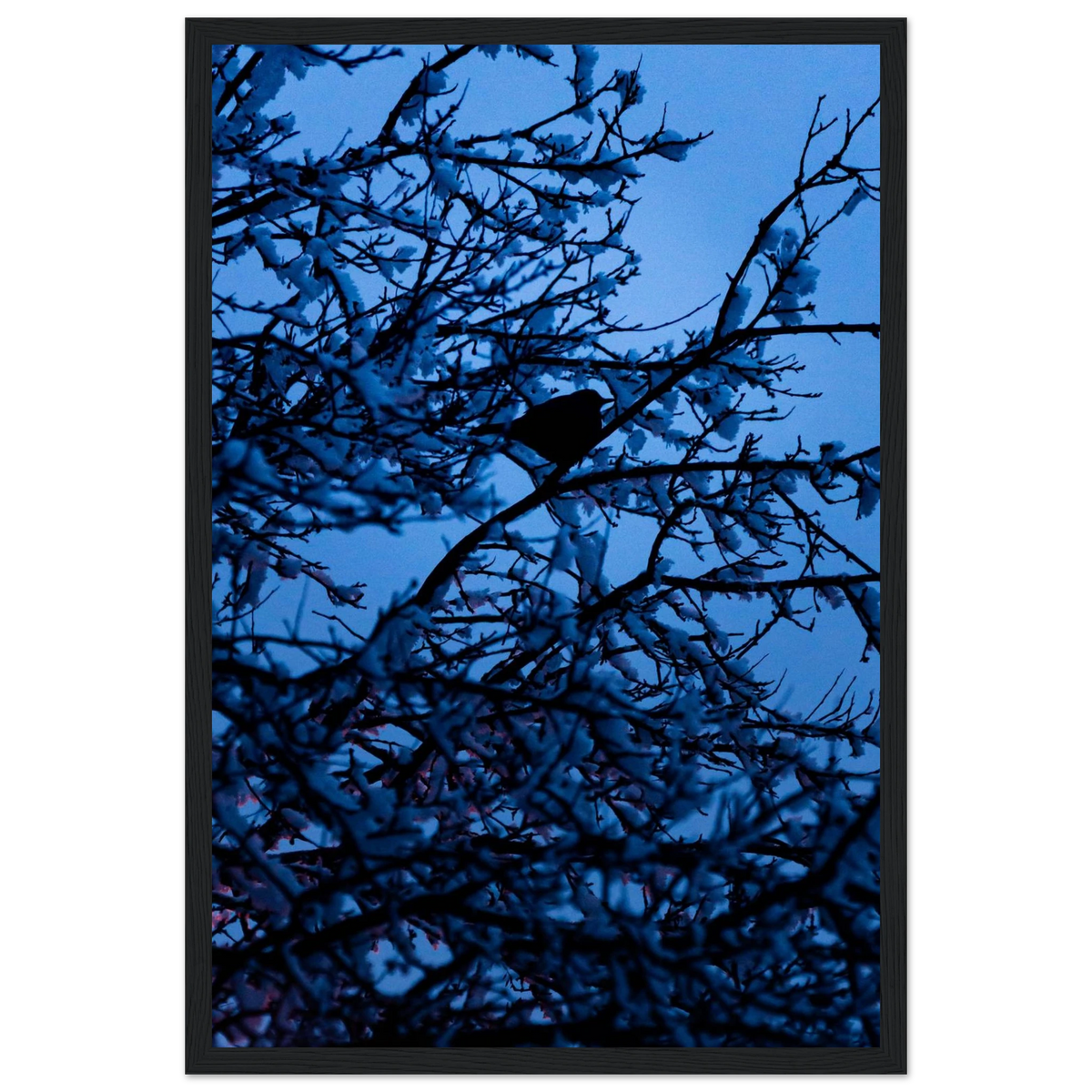 Blue Bird – kék madár faágon fakeretes fotónyomat