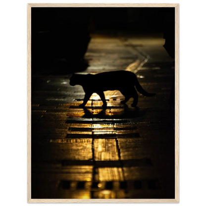The Mysterious Cat – cat on a night street photography photo print in a wooden frame