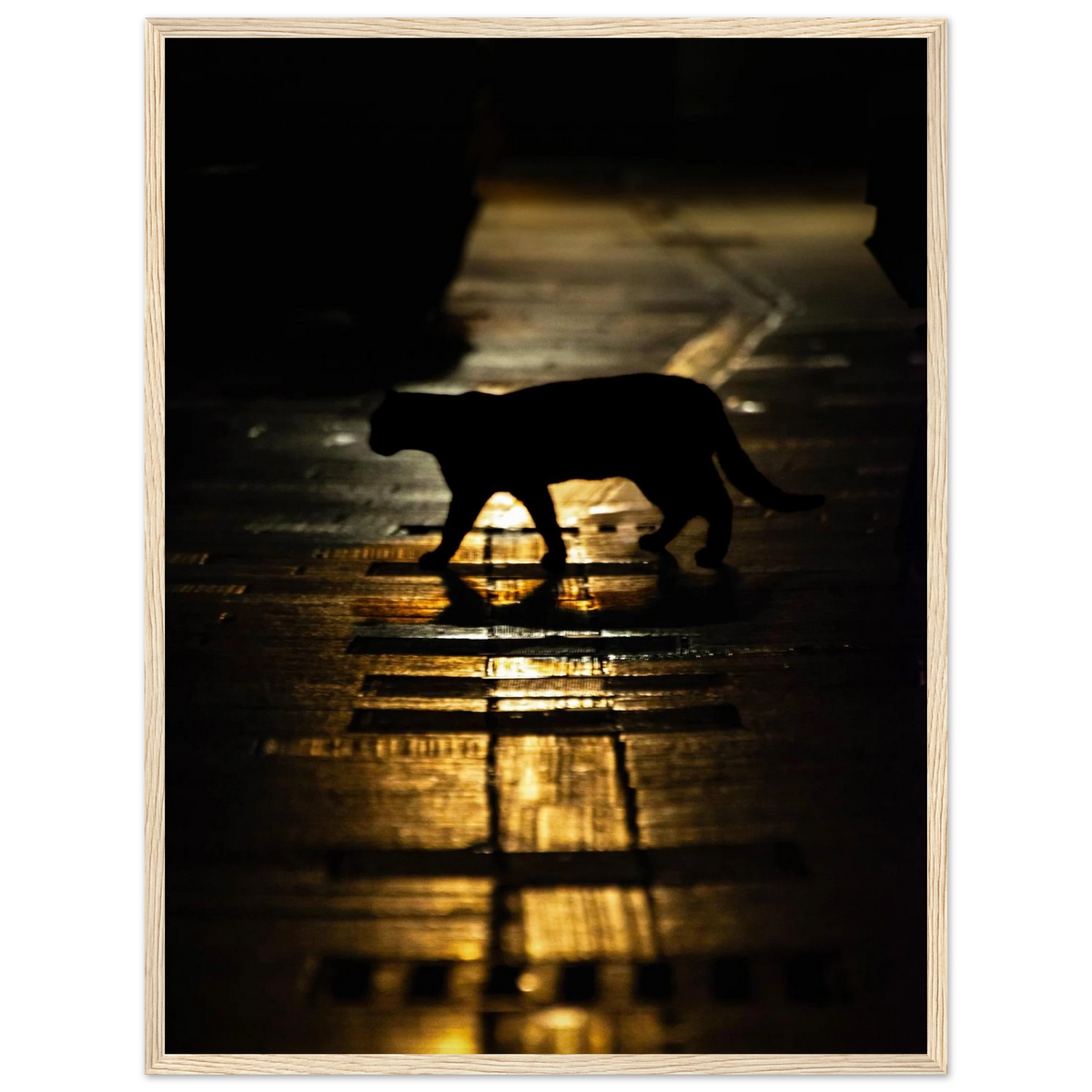 The Mysterious Cat – cat on a night street photography photo print in a wooden frame